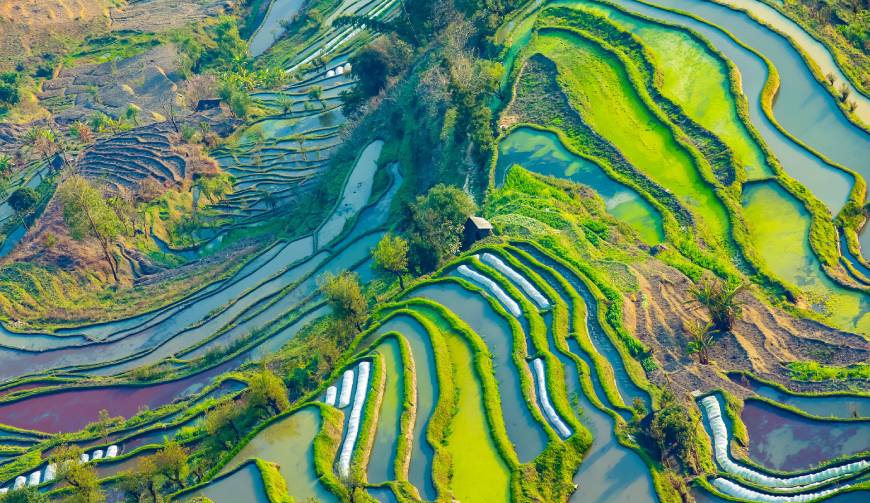 宝妈必备神器：绥化产品视频拍摄轻松育儿好帮手